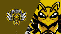 Bumblebee logo vector