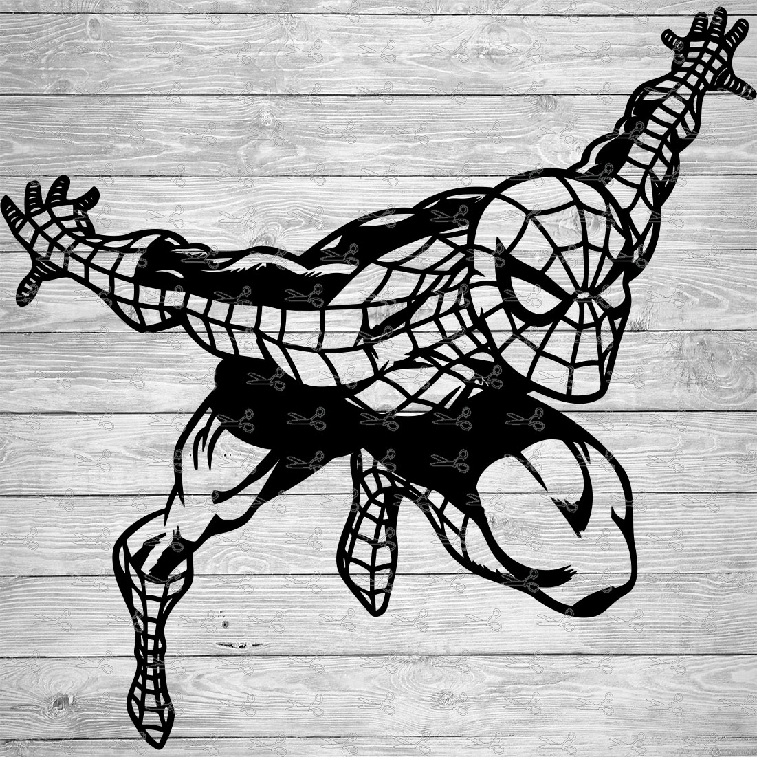 Spiderman Pic